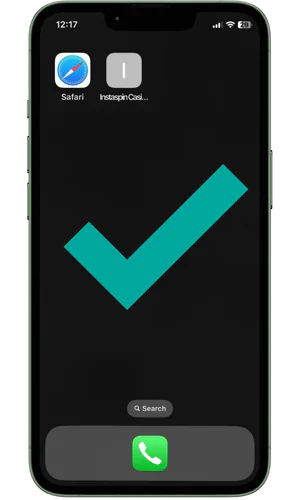 Insta spin app